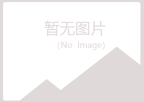 河池倾城能源有限公司